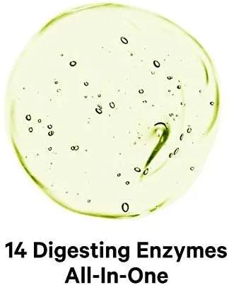 Codeage Digestive Enzymes Supplement, 3-Month Supply, Gut Health Probiotics, Prebiotics, Fermented Multi Enzymes, Plant-Based Superfood, One Capsule a Day, Vegan, Non-GMO, 90 Capsules - Image 4
