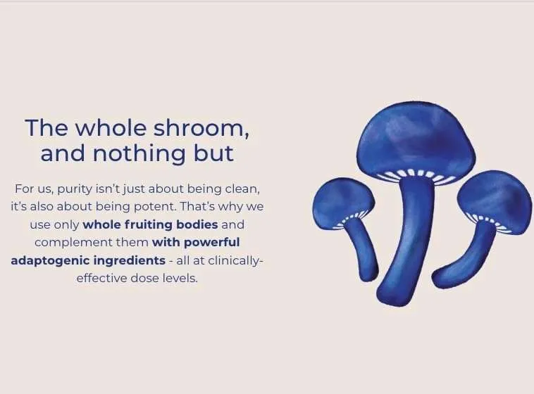 Wholeshroome Vitamin D2 | Premium European Mushroom Supplement | High Potency (3600 IU) of Organic Whole Food Vitamin D from Mushrooms | Supports Immune, Bone Health Energy and Mood - Image 6