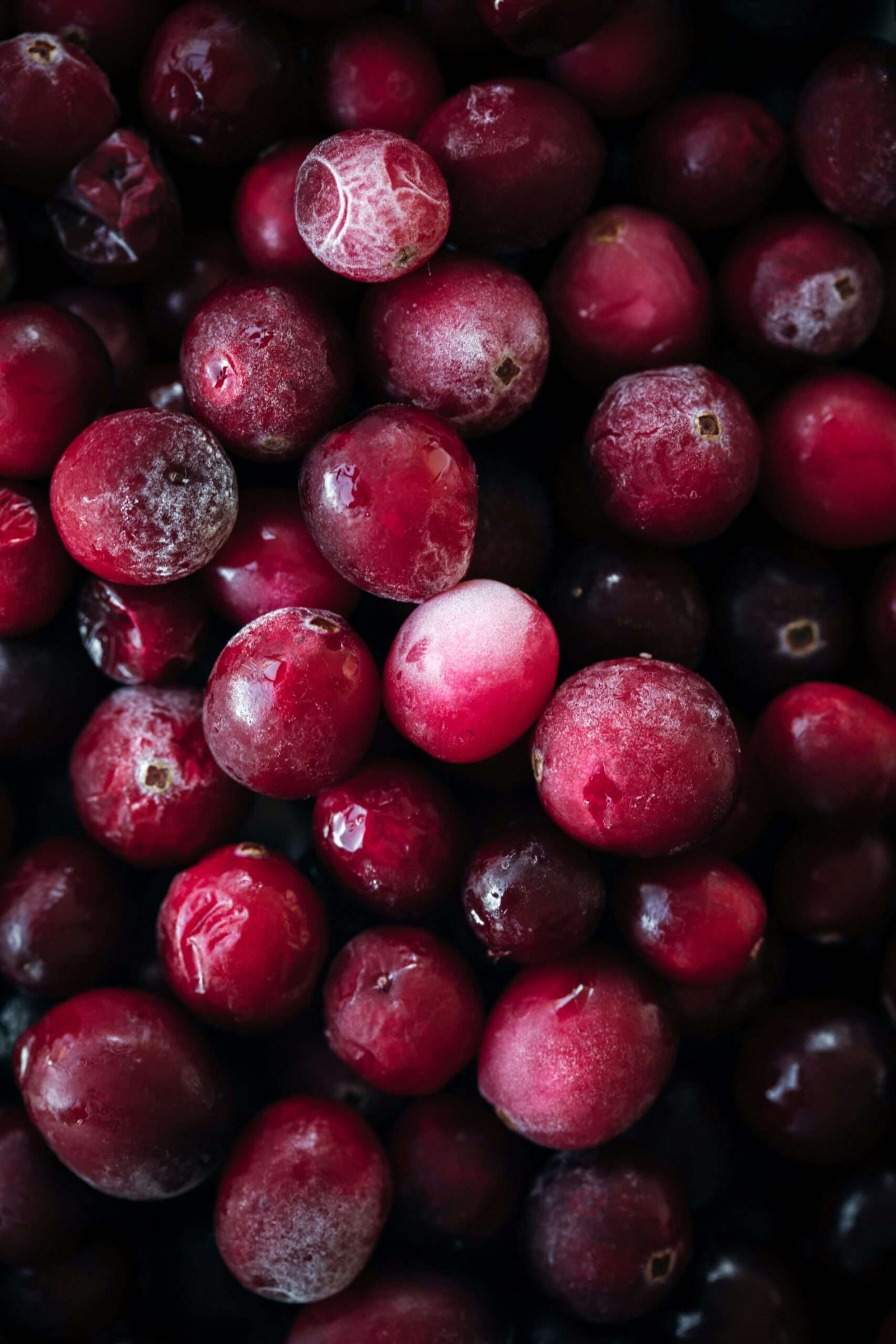 Home red round fruit in close up photography