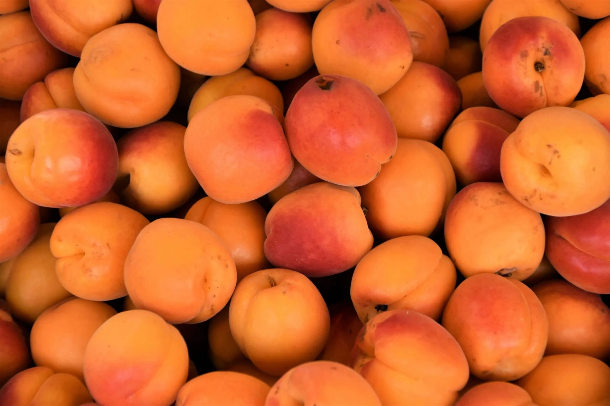 Home yellow and red round fruits