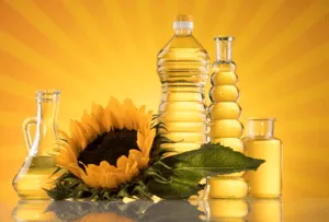HealthGuide247 13