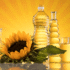 Fuel Your Day: The Power of Nutrient-Rich Foods