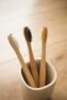 The Importance of Dental Health and the Role of Prodentim