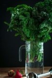 The Power of Leafy Greens: Nutritional Benefits and Recipes