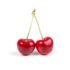 The Health Benefits of Pomegranate