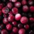 The Health Benefits of Blackberries