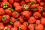The Health Benefits of Strawberries