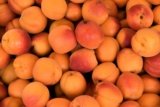 The Health Benefits of Apricot: A Delicious Fruit with Numerous Advantages